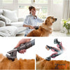Brosse de Toilettage chien | Dyson Groom | accessoire aspirateur