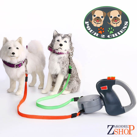 Laisse Rétractable pour 2 Chiens